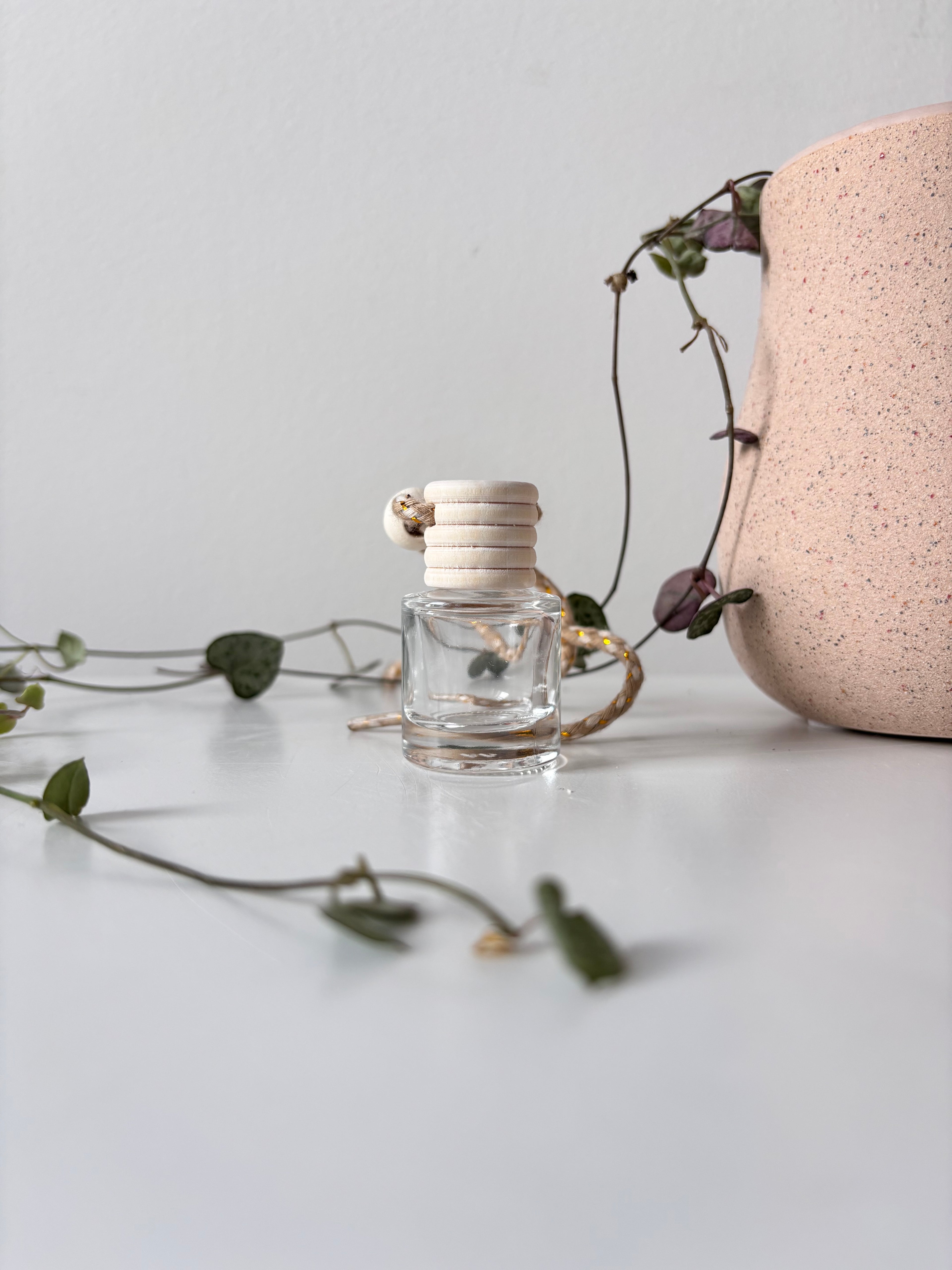 Clear Circle Car Diffuser